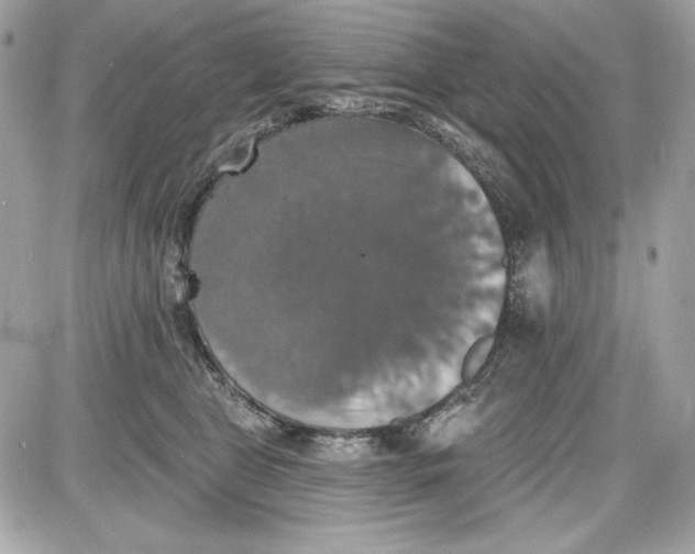 X0000087410469200705111856