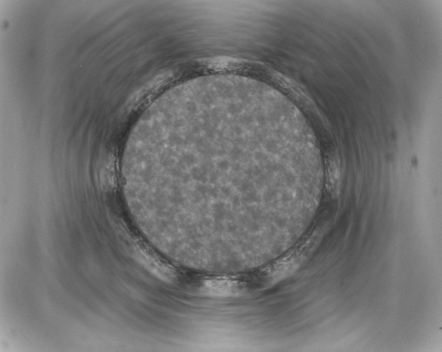 X0000087410470200705111856