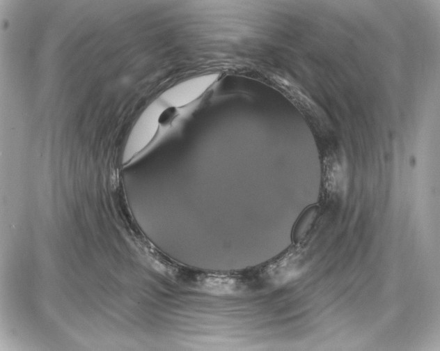 X0000087410471200705111856