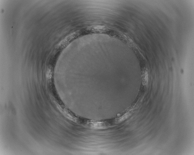 X0000087410472200705111856