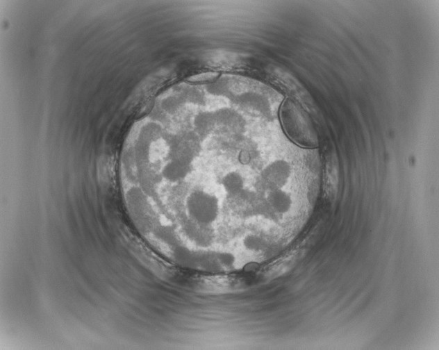 X0000087410473200705111856