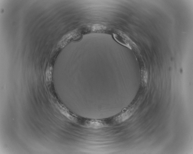 X0000087410475200705111856