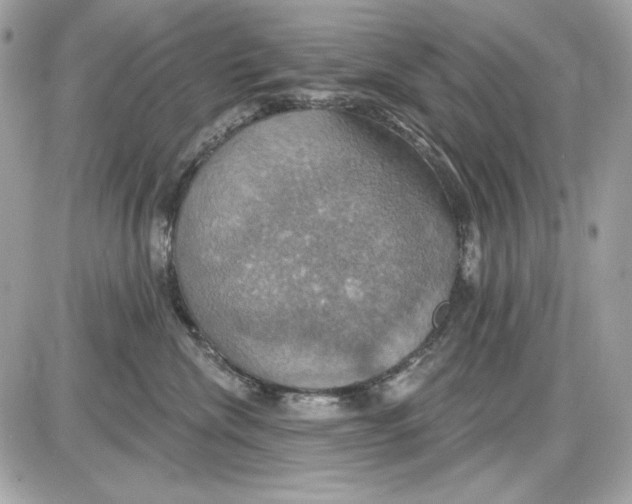 X0000087410476200705111856