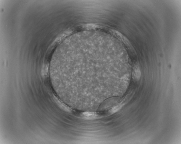 X0000087410477200705111856