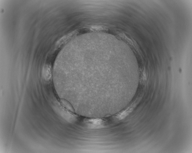 X0000087410478200705111856