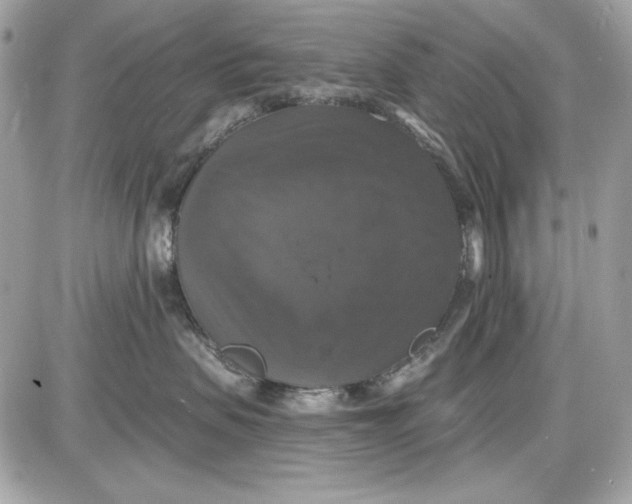 X0000087410479200705111856