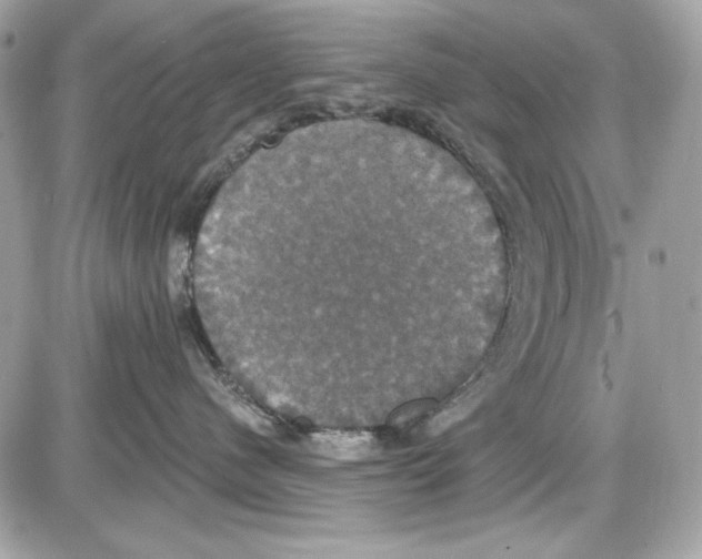 X0000087410480200705111856