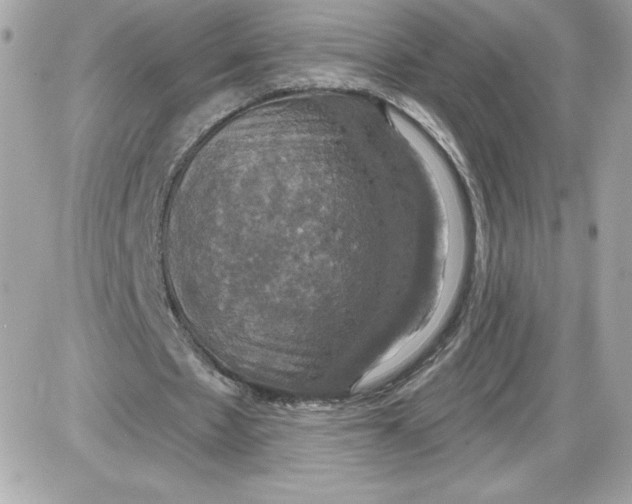 X0000087410481200705111855