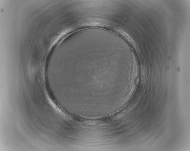 X0000087410482200705111855