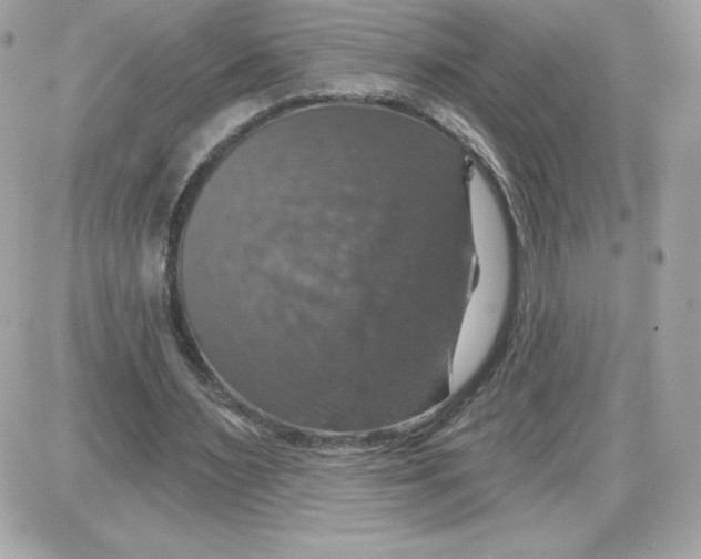 X0000087410483200705111855