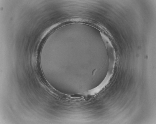 X0000087410484200705111855