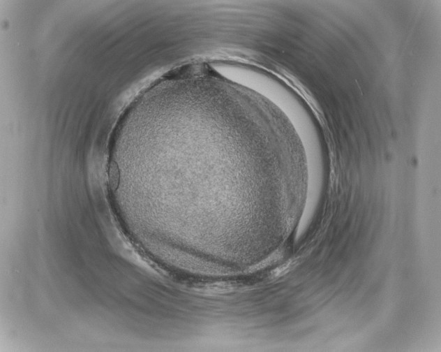 X0000087410485200705111855