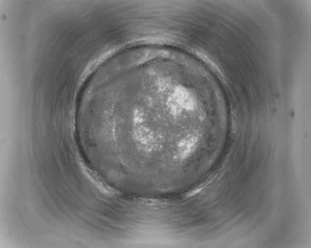 X0000087410486200705111855