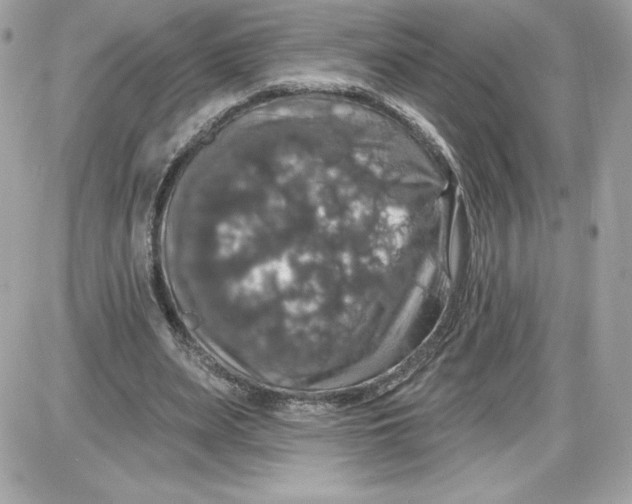 X0000087410487200705111855