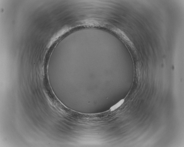 X0000087410488200705111855