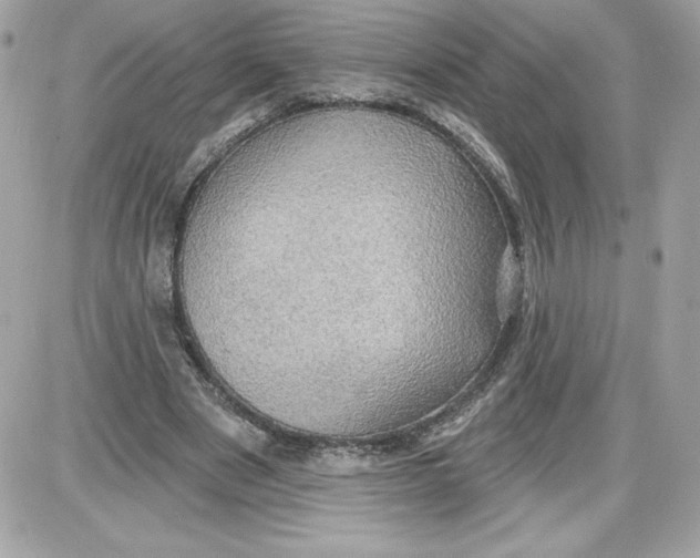 X0000087410489200705111855