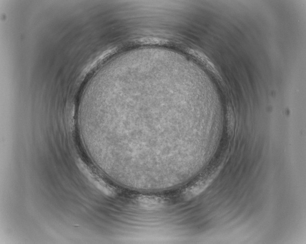 X0000087410490200705111855