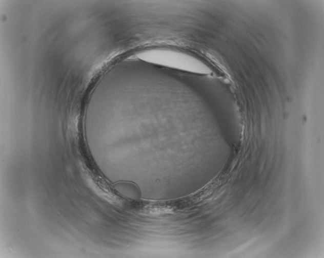 X0000087410491200705111855