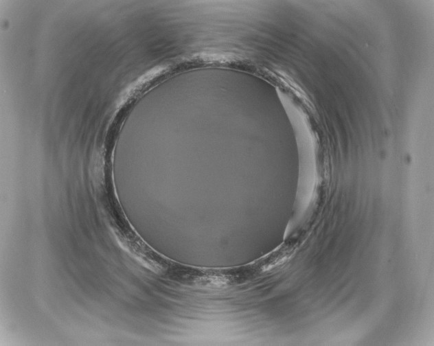 X0000087410492200705111855