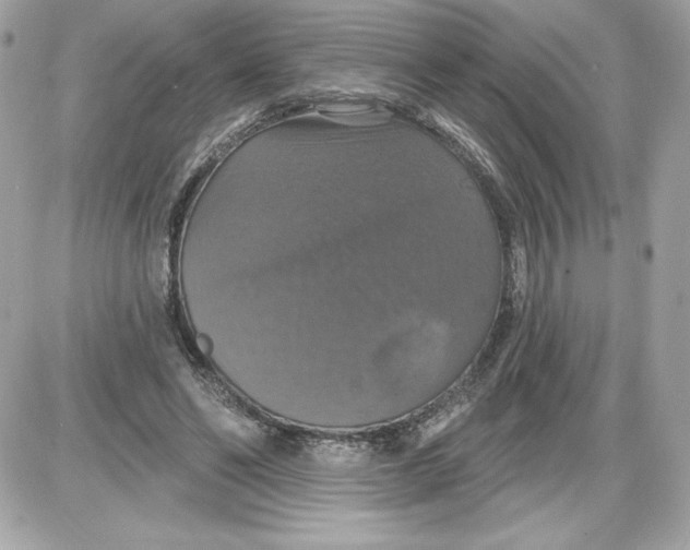 X0000087410494200705111855