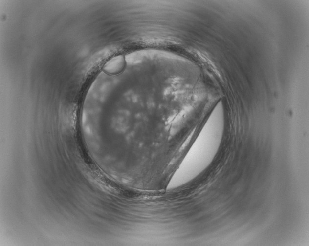 X0000087410495200705111855