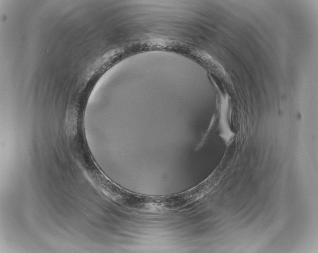 X0000087410496200705111855