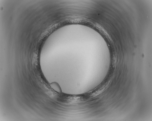 X0000087410497200705111855