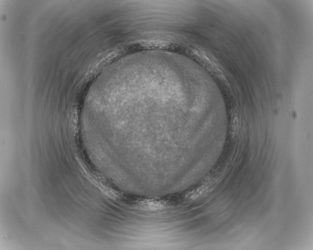 X0000087410498200705111855