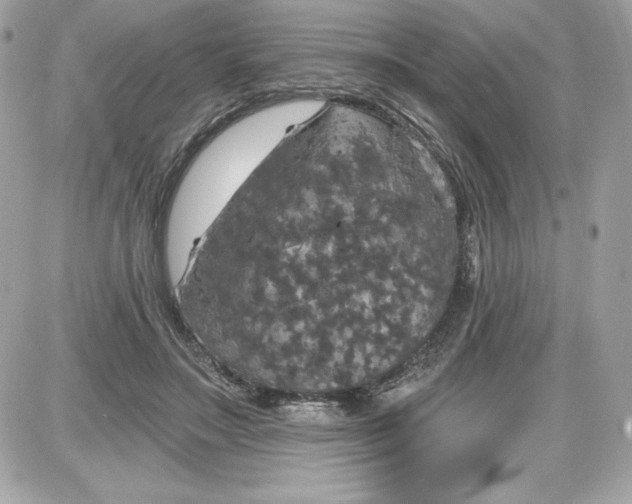 X0000087410499200705111855