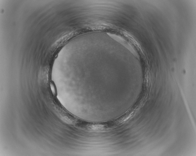 X0000087410501200705111855