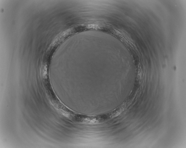 X0000087410502200705111855