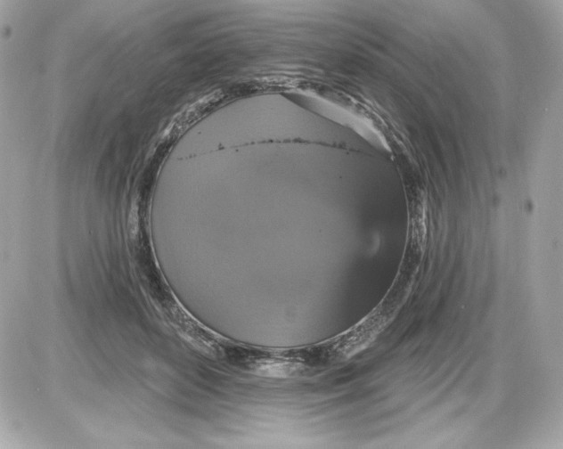 X0000087410504200705111855