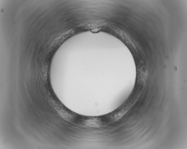 X0000087410505200705111855