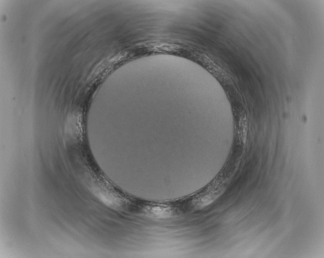 X0000087410506200705111855