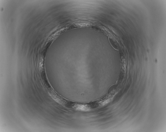 X0000087410507200705111855