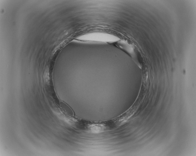 X0000087410508200705111854