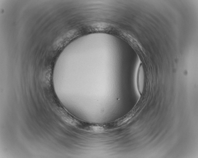 X0000087410509200705111854