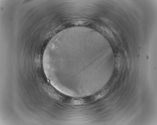 X0000087410510200705111854