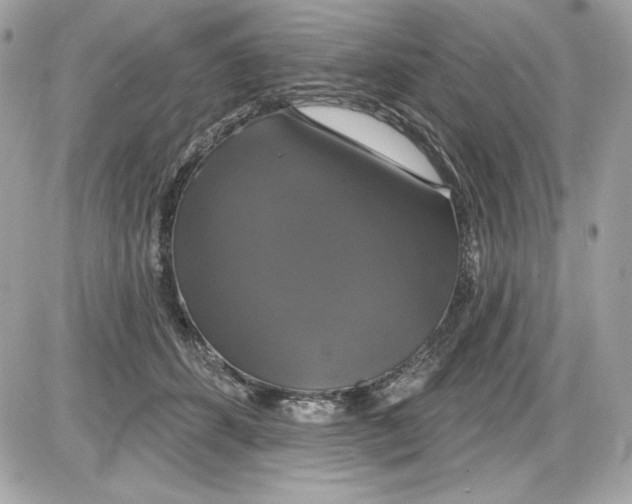 X0000087410512200705111854