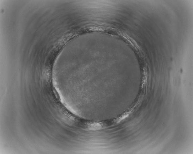 X0000087410513200705111854