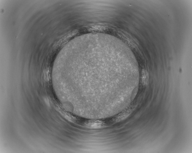 X0000087410514200705111854