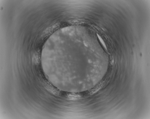 X0000087410515200705111854