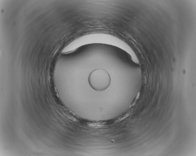 X0000087410516200705111854