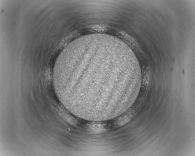 X0000087410518200705111854