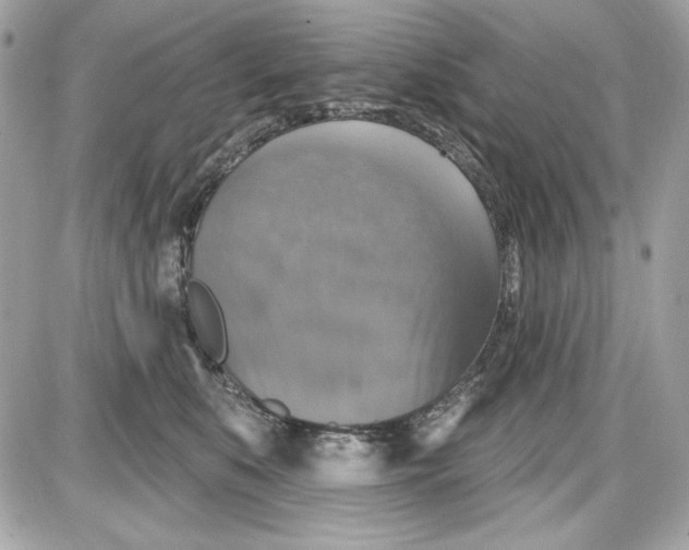 X0000087410519200705111854