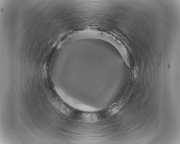 X0000087410520200705111854