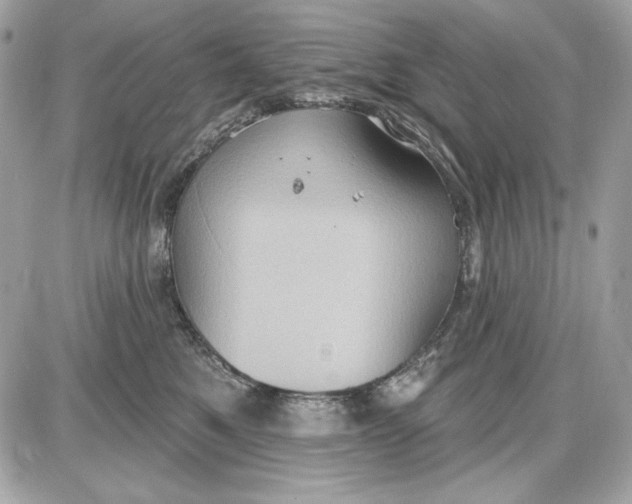 X0000087410521200705111854