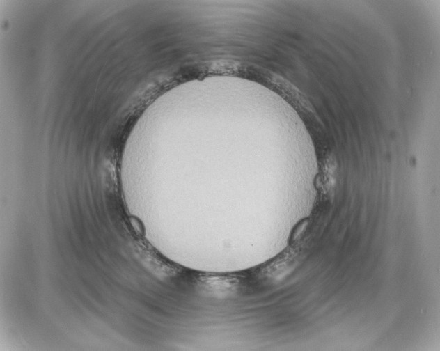 X0000087410522200705111854