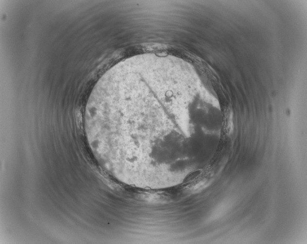 X0000087410523200705111854