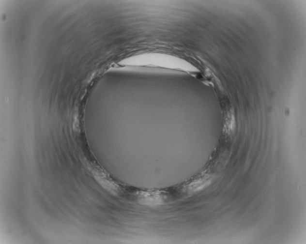 X0000087410524200705111854